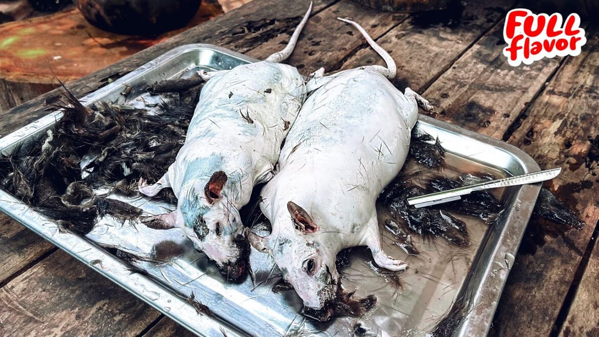 Amazing Giant! RAT Farming & Cooking | THAI Food | หนูนาอบโอ่ง หลามหนูนา มีตังฟาร์ม โคราช Amazing Giant! RAT Farming & Cooking | THAI Food | หนูนาอบโอ่ง หลามหนูนา มีตังฟาร์ม โคราช