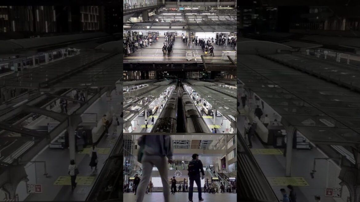 Timelapse of the busy Osaka main train station #shorts #letsguide