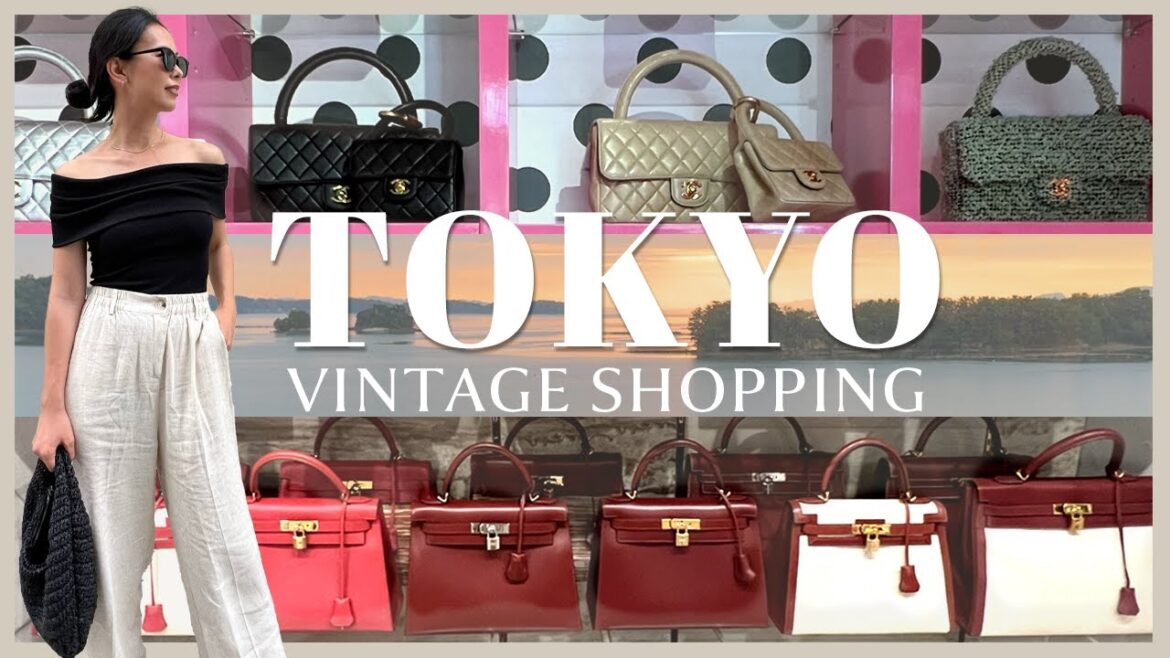 ただいま日本!🇯🇵|東京のヴィンテージストア巡り|日本の美味しい食文化を堪能する