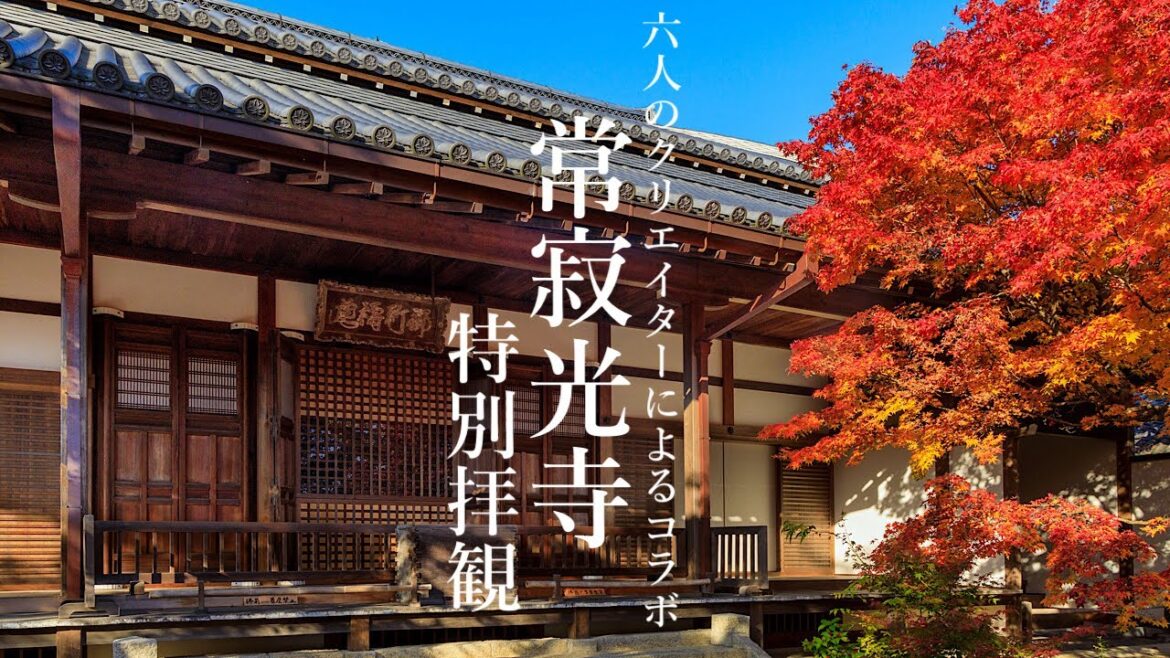 常寂光寺 秋の特別拝観 ６人のクリエイターによるコラボ企画 2023 Kyoto Walk- Jojakko-ji Temple Autumn Leaves 4K HDR Japan