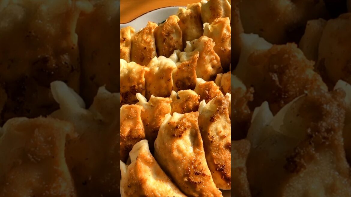 浜松餃子７店舗食べ歩き