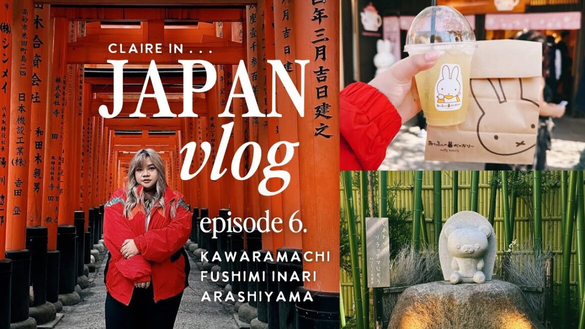 Adventures in Kyoto ⋮ Fushimi Inari, Shrine Cats, + Arashiyama Bamboo Forest [Japan Vlog 2023]
