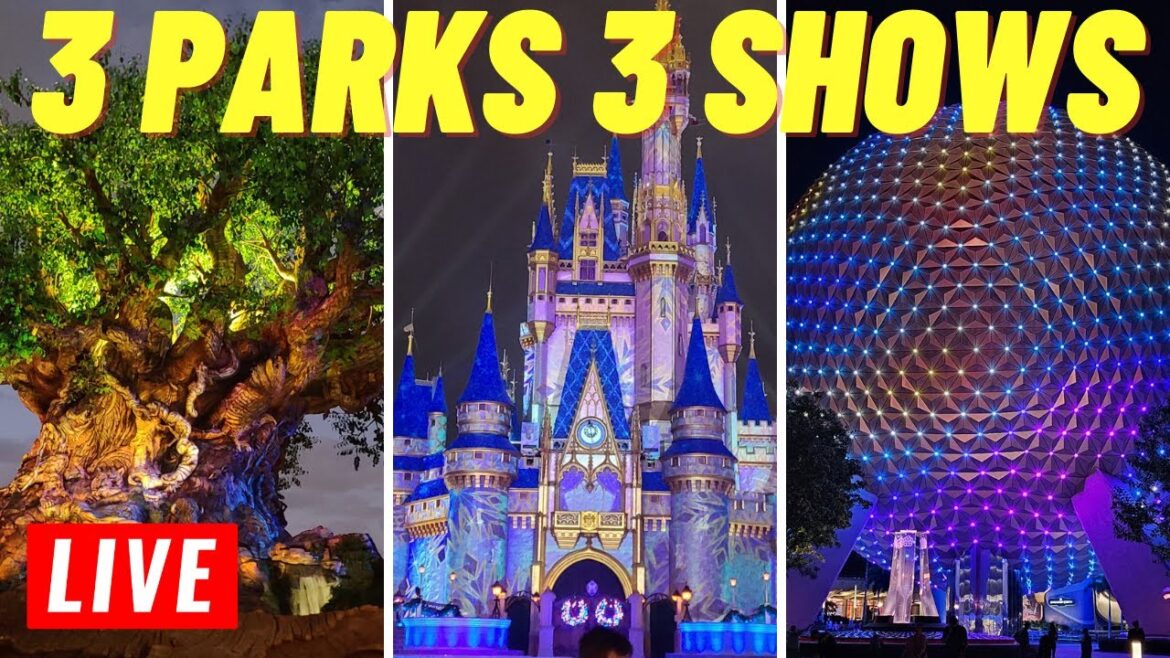π΄ LIVE: Friday Night Park hopping 3 parks 3 night time shows @KodaBeartheExplorer 11/24/2023 π΄ LIVE: Friday Night Park hopping 3 parks 3 night time shows @KodaBeartheExplorer 11/24/2023