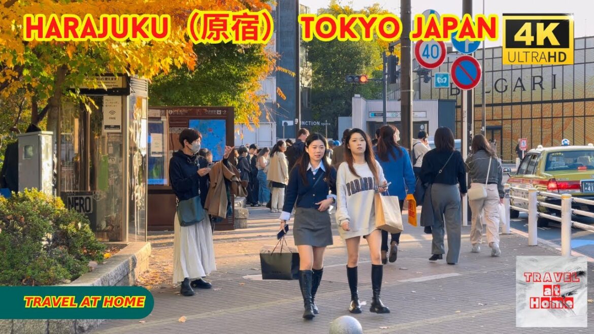 4k hdr japan travel | Walk in Harajuku(原宿)Tokyo japan | Relaxing Natural City ambience 4k hdr japan travel | Walk in Harajuku(原宿)Tokyo japan | Relaxing Natural City ambience