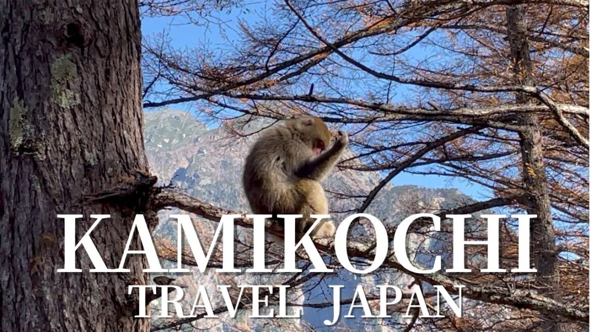 Unveiling Hidden Gems: Your Ultimate Kamikochi Adventure Guide
