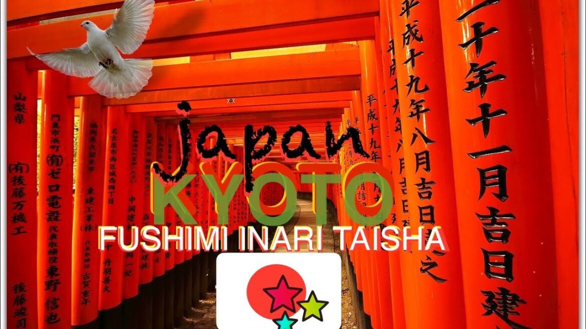 Wow JAPAN - Why KYOTO Is Your Epic Travel Destination in 2024!