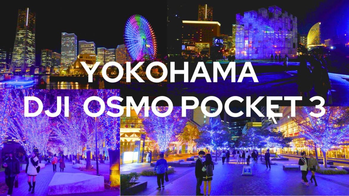 【4K🇯🇵】Shooting “Yorunoyo 2023” with DJI Osmo Pocket 3 【4K🇯🇵】Shooting "Yorunoyo 2023" with DJI Osmo Pocket 3