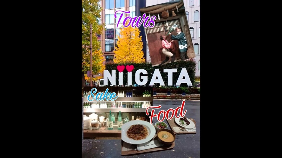 3 hours in Niigata: Mini Vlog 3 hours in Niigata: Mini Vlog