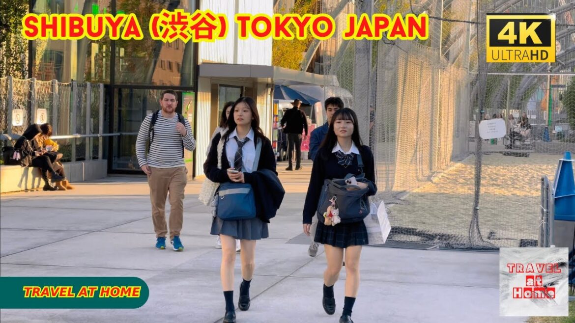 4k hdr japan travel | Walk in Shibuya (渋谷) Tokyo japan |  Relaxing Natural City ambience