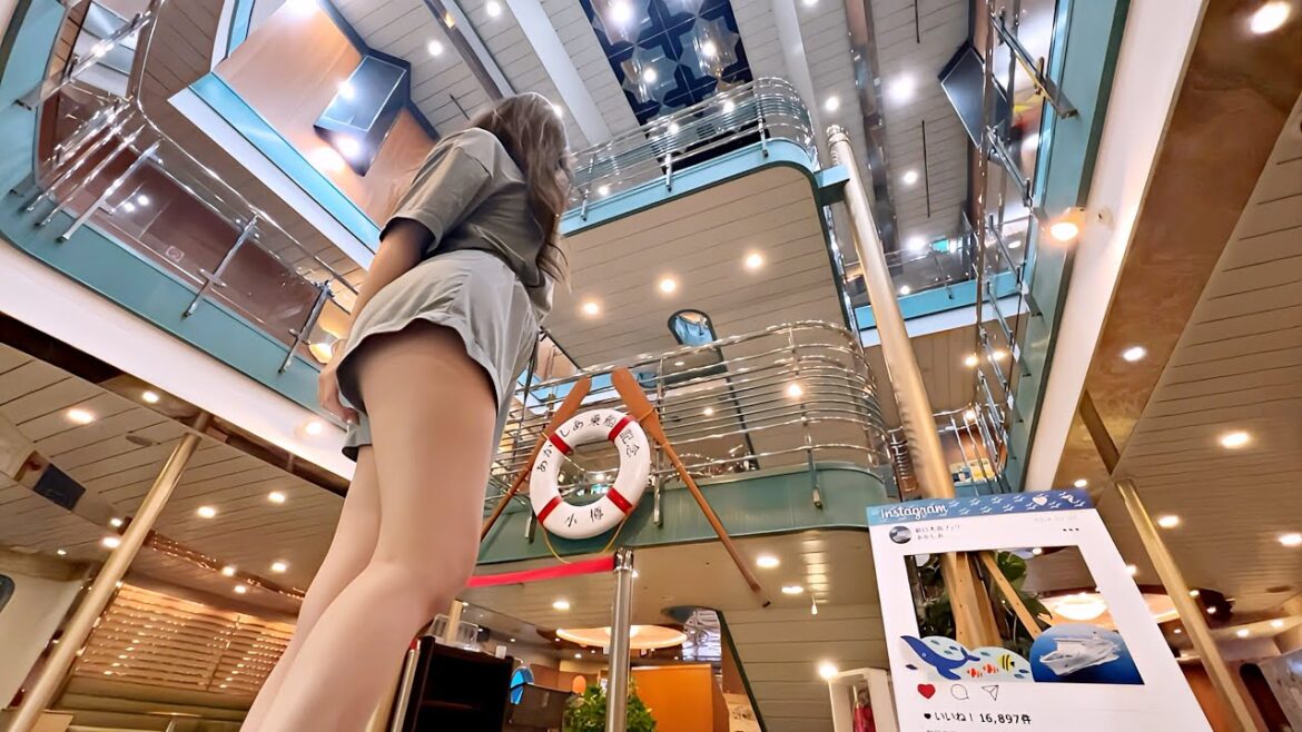 【新日本海フェリー】テラス付きのお部屋で過ごす21時間の長距離夜行フェリーの船旅🚢😪北海道 小樽 →京都 舞鶴 【新日本海フェリー】テラス付きのお部屋で過ごす21時間の長距離夜行フェリーの船旅🚢😪北海道 小樽 →京都 舞鶴