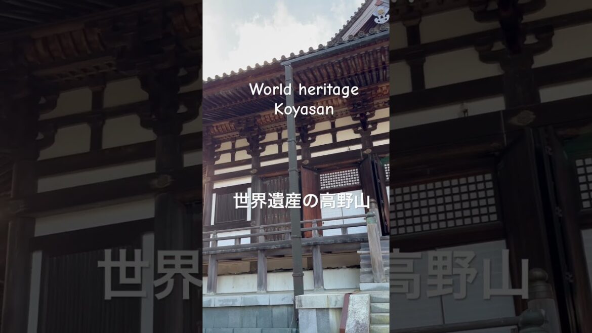 【高野山女ひとり旅】世界遺産を堪能したよ‼️ the World Heritage Mt. Koya temples in Wakayama Japan #shorts #traveljapan