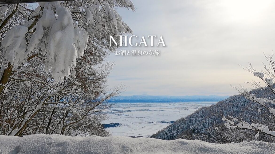 【旅行vlog】冬の新潟オススメ観光・絶景と温泉とお酒と純和食と…B級グルメも | 彌彦神社, 日本酒, 御朱印, カレー, ノドグロ, 藤井聡太, 将棋, 高島屋