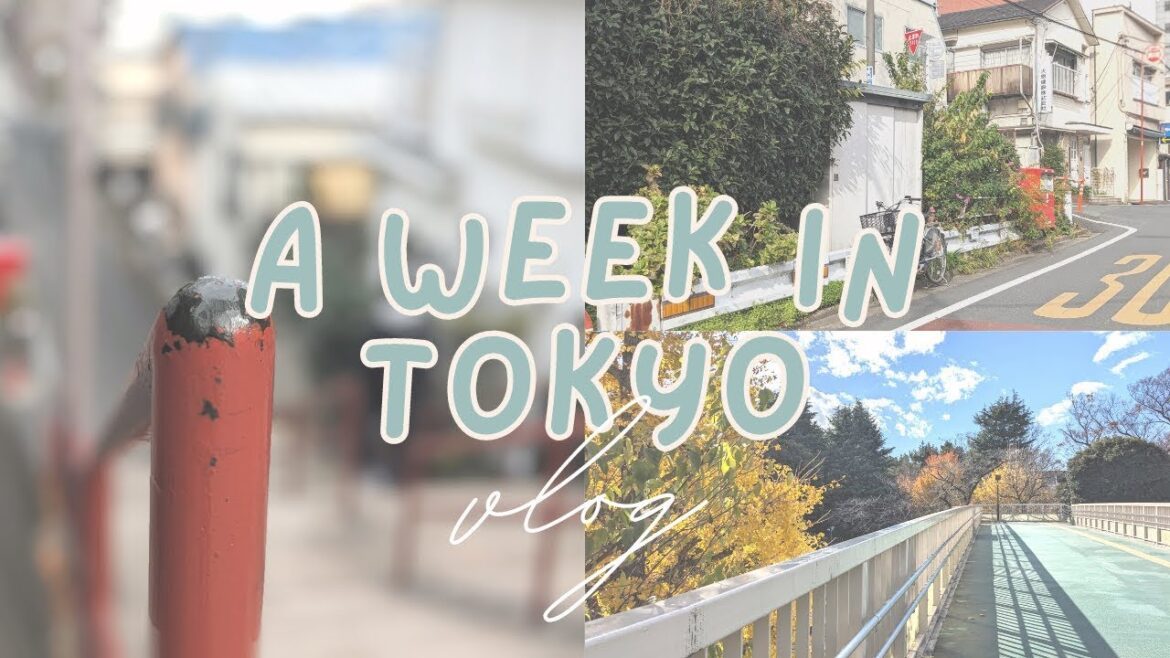 TRAVEL VLOG A week of Solo Travel in Tokyo