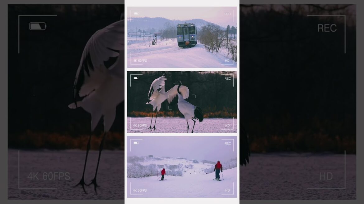 Hokkaido Snow - Japan #shorts