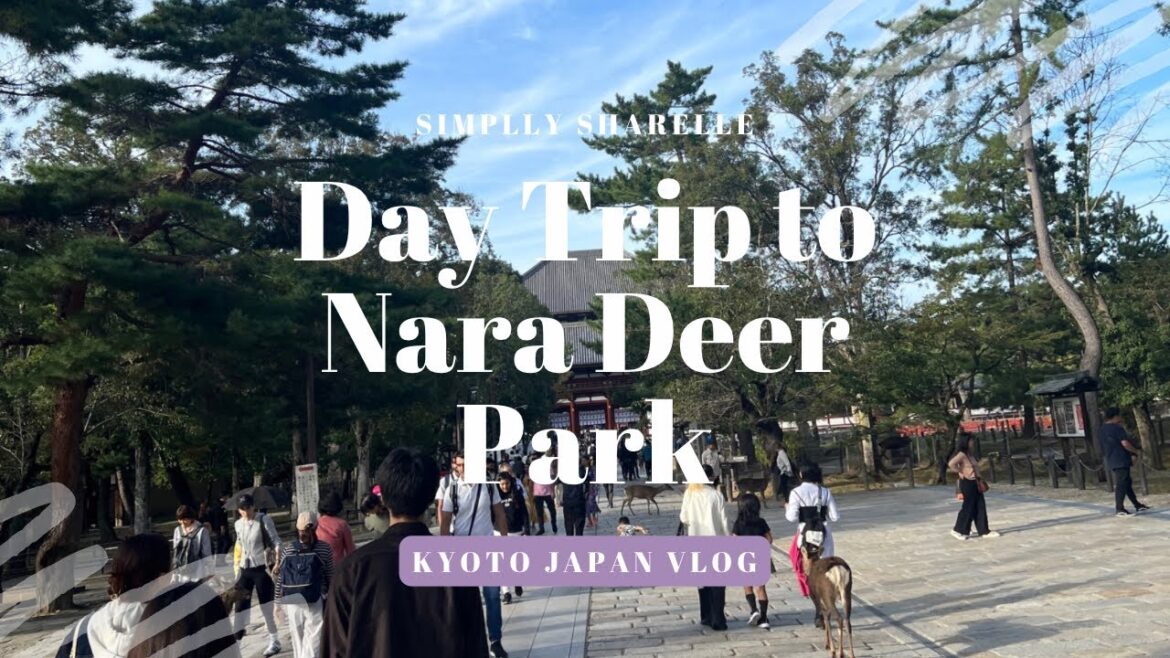 Day Trip to Nara Deer Park | Japan Vlog