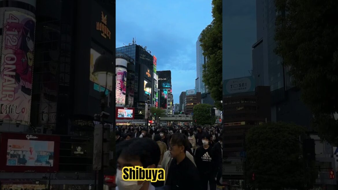 Rush Hour in #shibuya #tokyo #japan #travel #2023 #trending #shorts #explore #thingstodo #japanlife