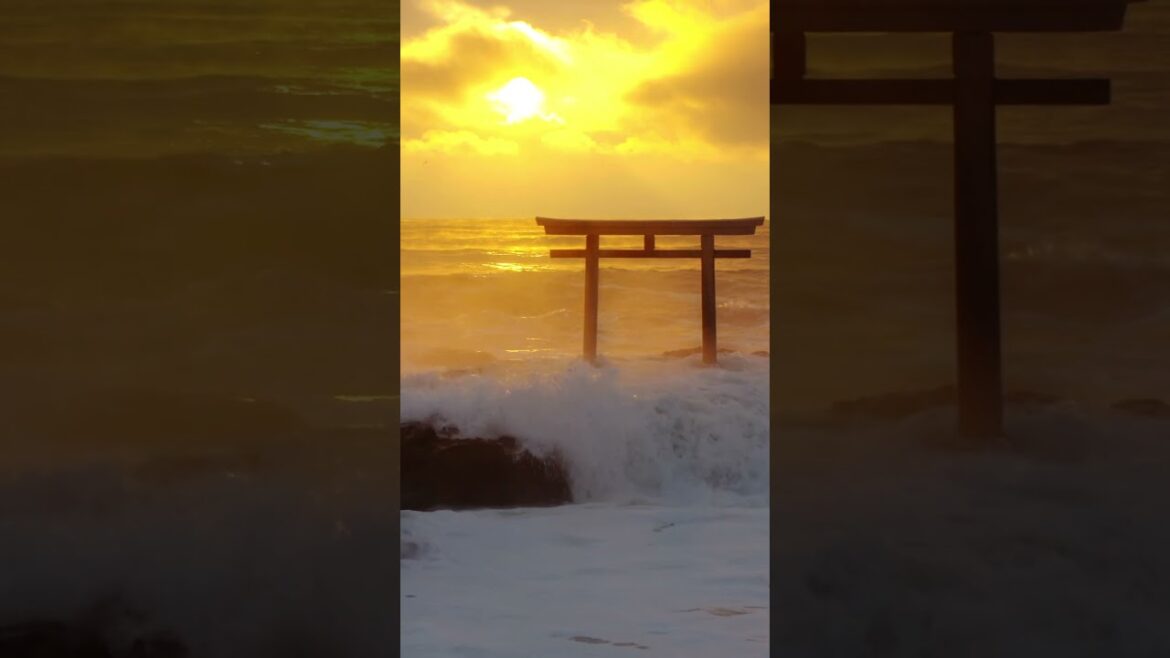 🇯🇵 일본 3대 도리이. 홋카이도 [쇼산베츠 콘피라 신사]  #일본여행 #일본