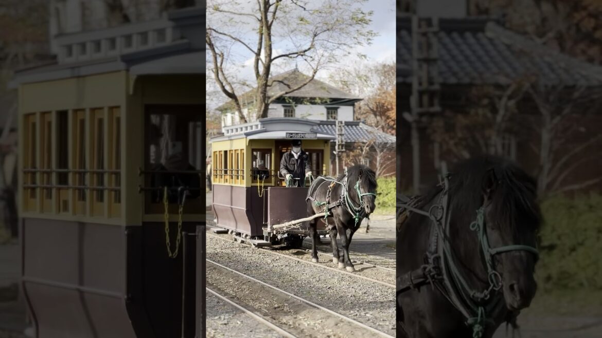 Japan's Hidden Historical Village of Hokkaido #japan #hokkaido