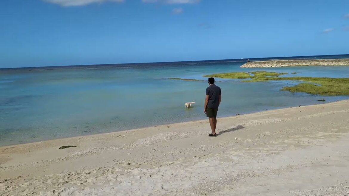 【OKINAWAN BEACH AREA TEKUTEKU】砂辺馬場公園＠北谷町～マンタ公園＠北谷町