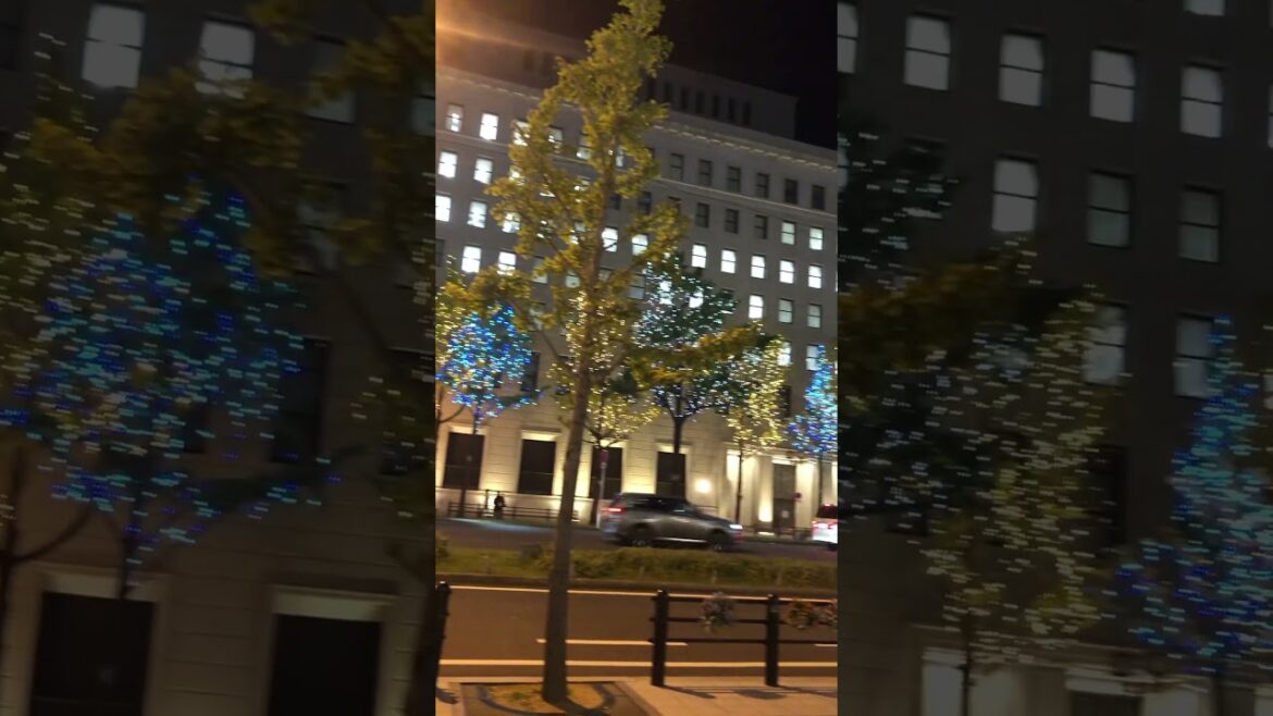 【OSAKA】Limited Expeditions- Osaka Midosuji Illumination