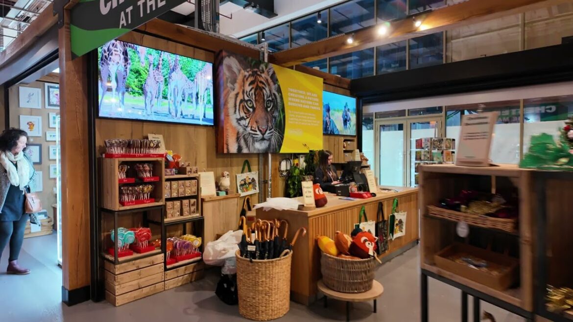 Chester Market | DJI Pocket 3