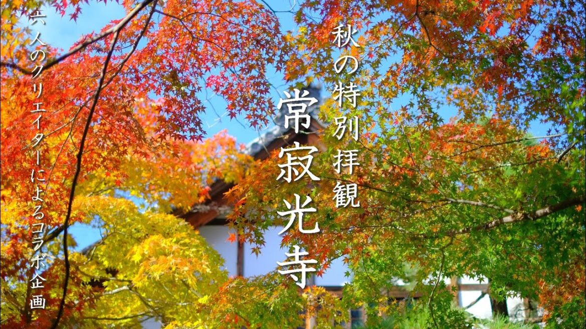【京都の紅葉】常寂光寺 秋の特別拝観 6人のクリエイターによるコラボ企画 【京都の紅葉】常寂光寺 秋の特別拝観 6人のクリエイターによるコラボ企画