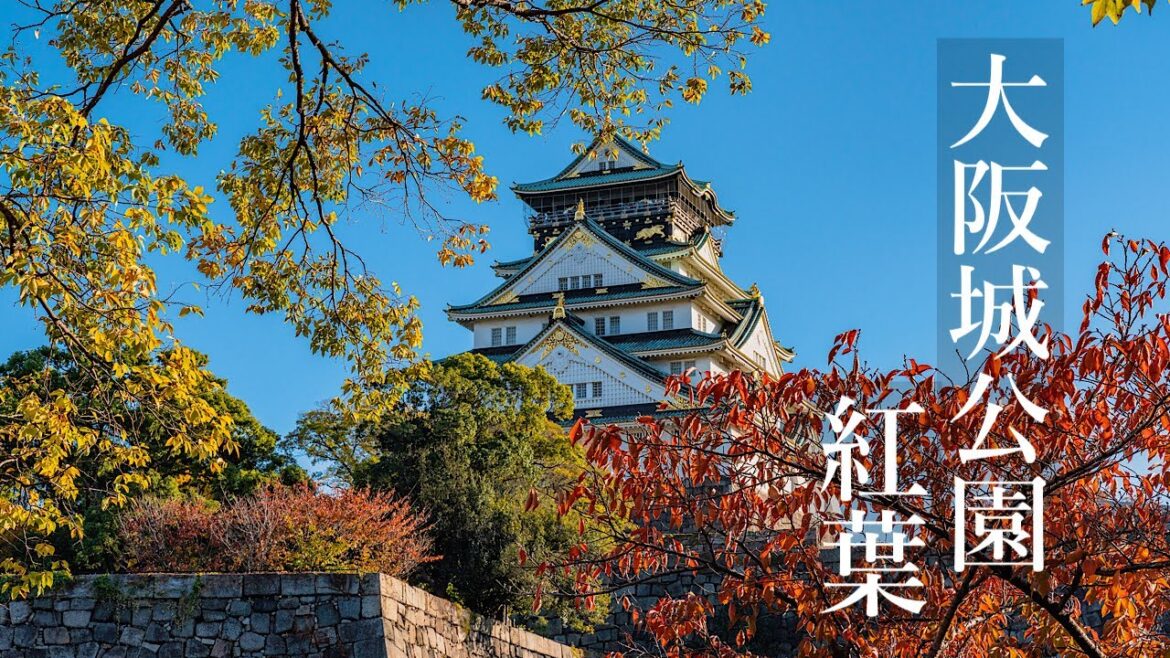大阪城公園の紅葉 見頃過ぎる？ 2023 Osaka Walk - Autumn leaves at Osaka Castle Park 4K HDR Japan α7CⅡ