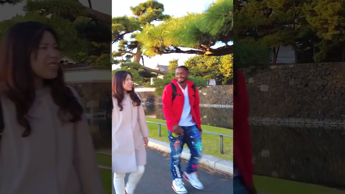 Tokyo Imperial Palace #japan Tokyo Imperial Palace #japan