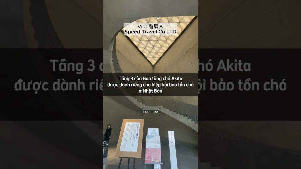 THAM QUAN BẢO TÀNG CHÓ "AKITA"