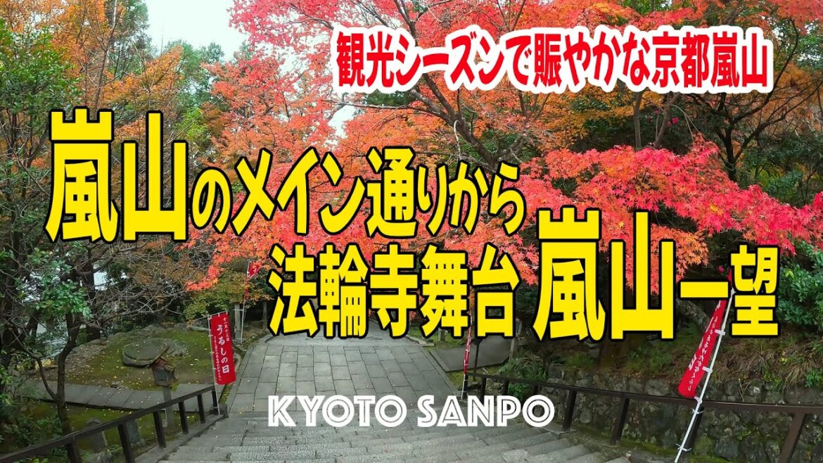 2023/11/24 京都嵐山 秋のシーズン真最中!! 嵐山メイン通り 長辻通から裏参道を通って法輪寺舞台から嵐山を一望 Kyoto walk【4K】 2023/11/24 京都嵐山 秋のシーズン真最中!! 嵐山メイン通り 長辻通から裏参道を通って法輪寺舞台から嵐山を一望 Kyoto walk【4K】