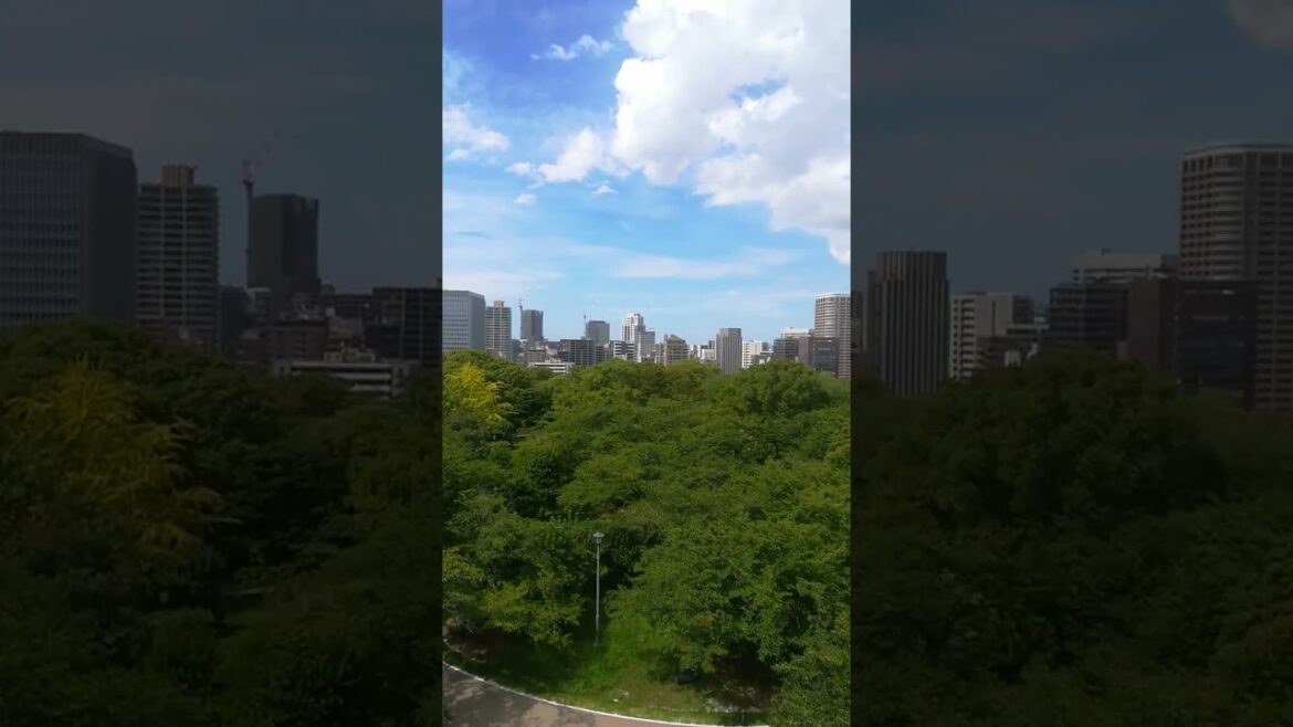 Skyline von Fukuoka (Japan 2023)