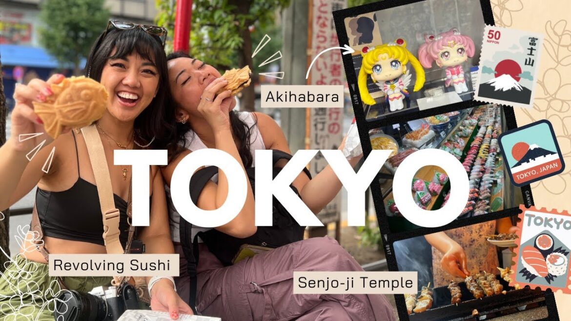 First-Timer's Tokyo: Anime Figurine Quest, Revolving Sushi Feast, and Street Food Indulgences