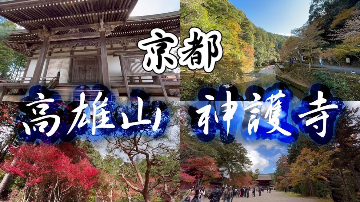 京都 紅葉シーズン 高雄山神護寺/京都的红叶 日本旅游