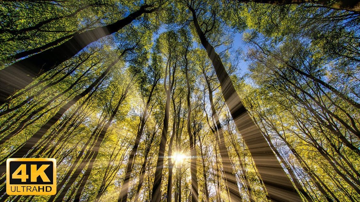 8 Hours Beautiful Aerial Views 4K