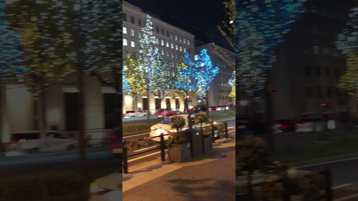 【OSAKA】Winter Special❄️ - Midosuji Illumination