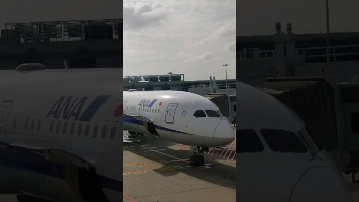 πΈπ¬ Onboard All Nippon Airways π―π΅ | #allnipponairways #singapore #japan #travel #airplane #787 πΈπ¬ Onboard All Nippon Airways π―π΅ | #allnipponairways #singapore #japan #travel #airplane #787