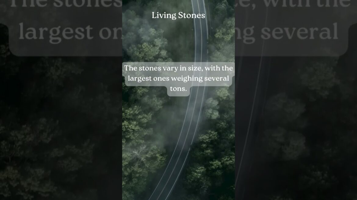 Nature Facts #nature #facts #travel #fact #photography #love #naturephotography #didyouknow #photo