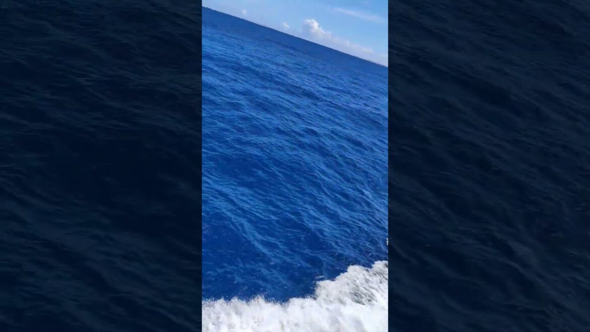 Beautiful ocean view on my trip to okinawa