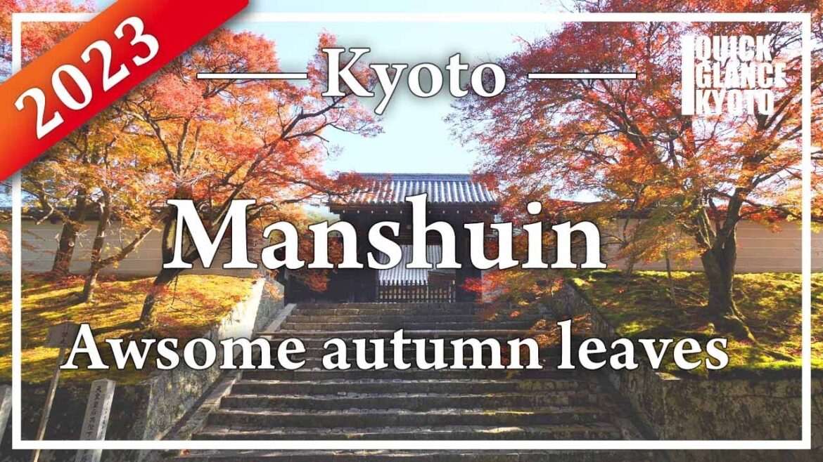 Vivid autumn leaves at a prestigious temple. Autumn is finally in full swing. Vivid autumn leaves at a prestigious temple. Autumn is finally in full swing.