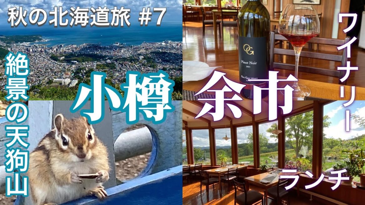 秋の北海道旅行⑦小樽・絶景の天狗山〜余市・ワイナリーで絶景ワインランチ 〜札幌へドライブ🇯🇵TRIP NEW JAPAN/Travel/Hokkaido/Otaru/Yoichi/Wine