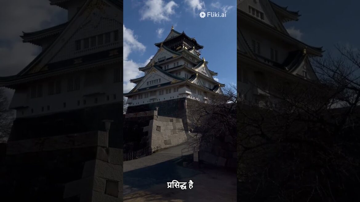 Explore the Wonders of Japan: A Comprehensive Travel Guide