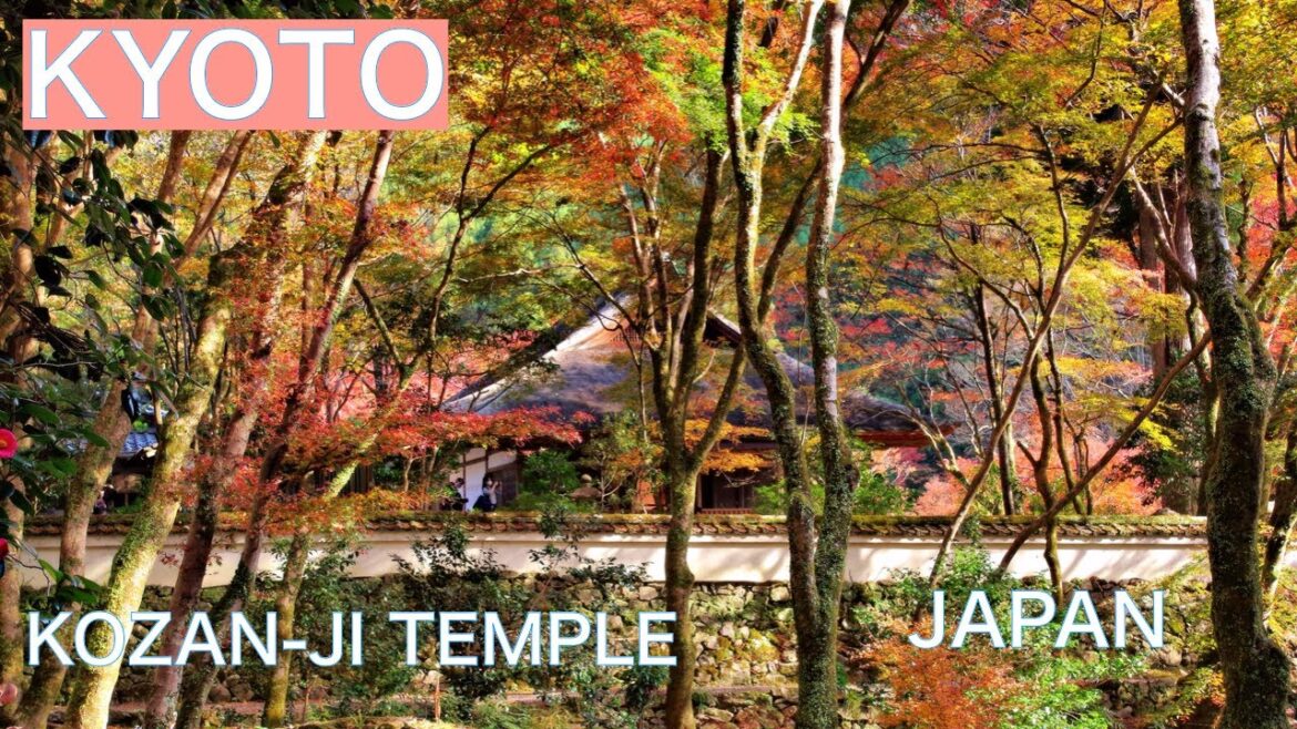 【JAPAN TRAVEL：KYOTO】KOZANJI Temple　　Walking in Kyoto in autumn