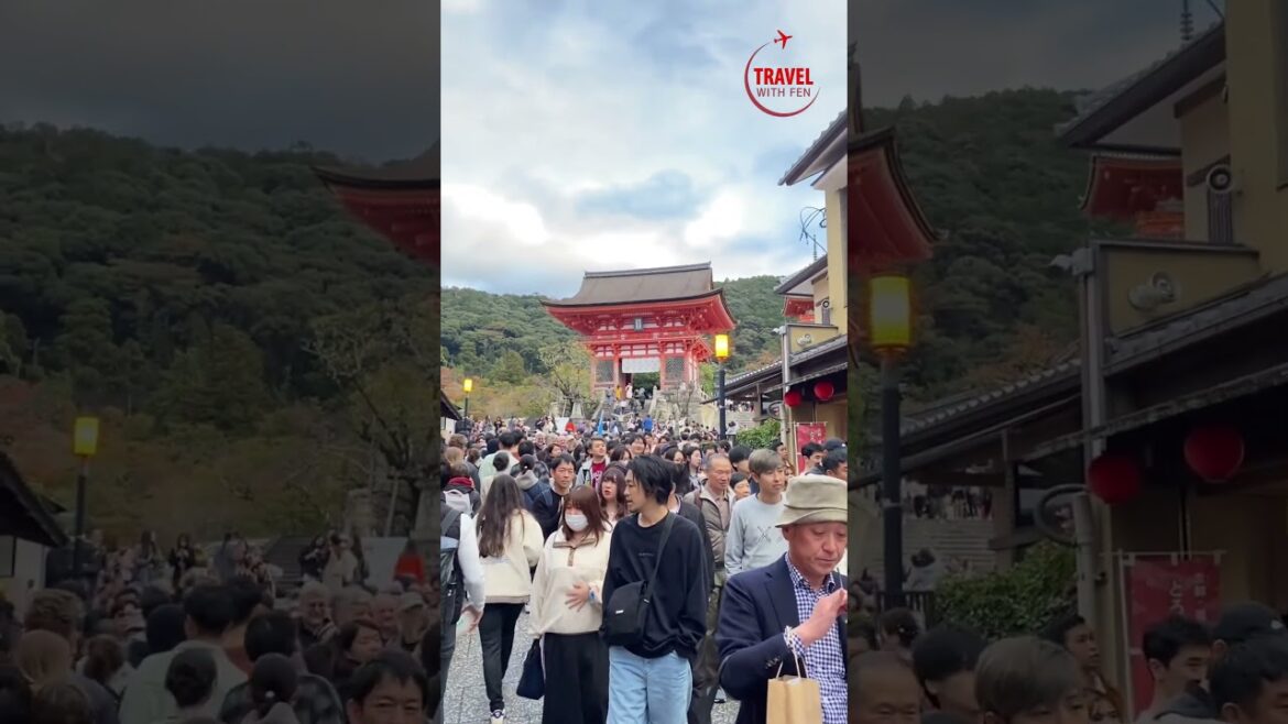 Kyoto's Iconic Kiyomizu Dera Temple  #travel #kyoto #japan #temple #shorts
