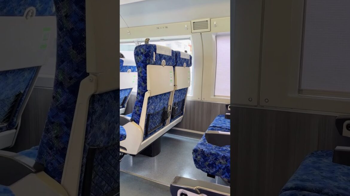 Trip from Kanagawa to Gunma Prefecture (Japan) #japan #tokyo #travel #train #vlog #shorts #fyp