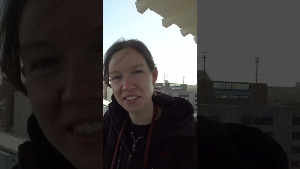 Mt Fuji from Hamamatsu Castle! #japan #mountfuji Mt Fuji from Hamamatsu Castle! #japan #mountfuji