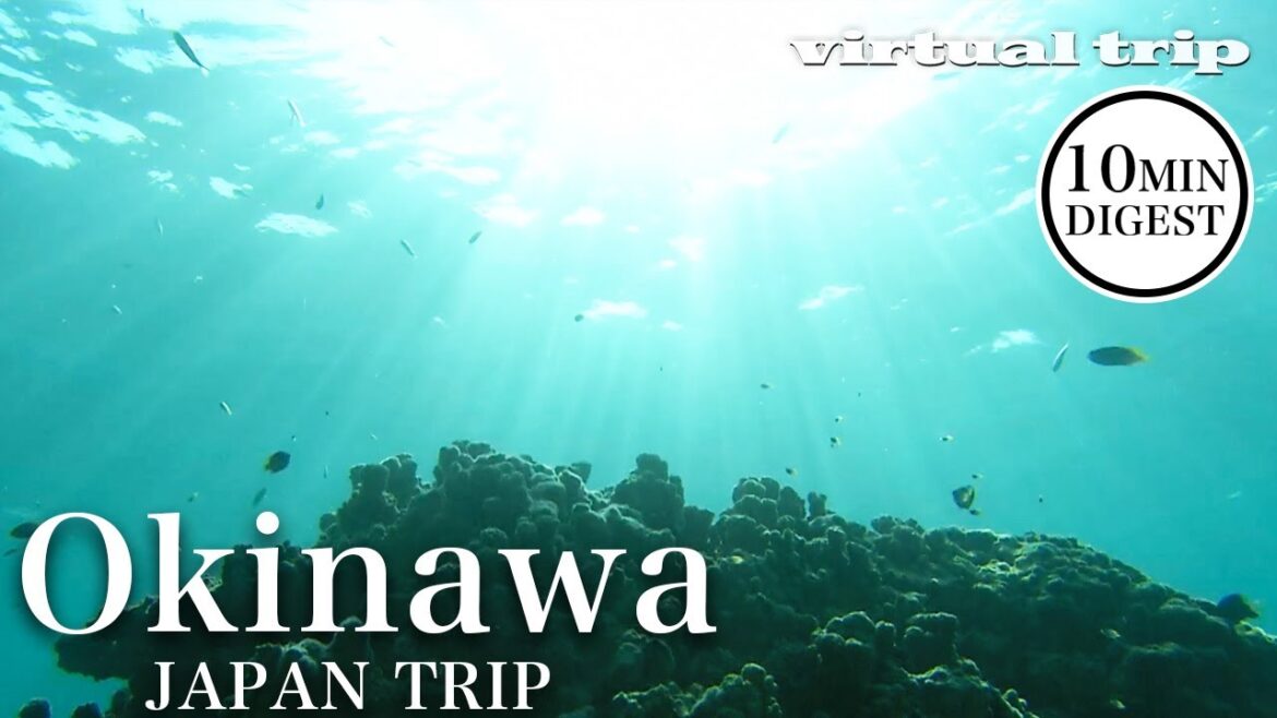 ​Diving views of globally stunning marine areas  / okinawa / yaeyama / virtual trip