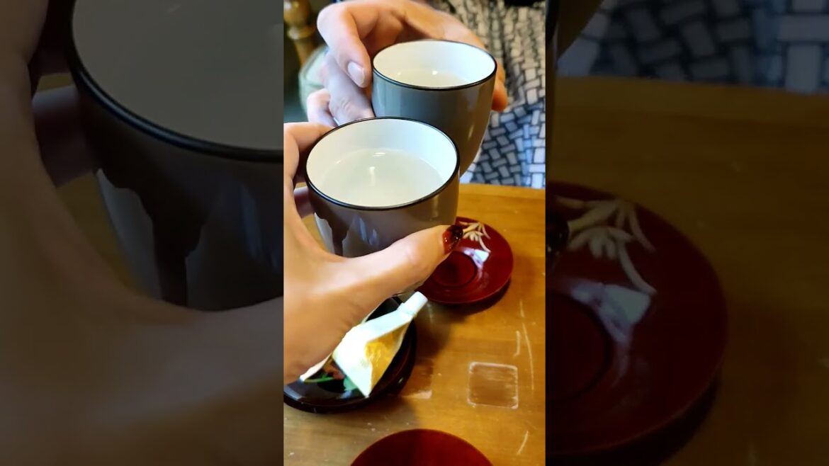 Hakone hot springs trip 🤍🍂♨️ #japan #travel #fyp