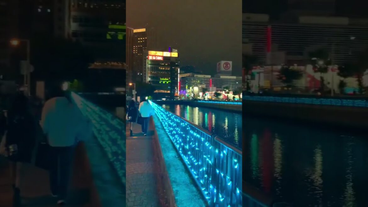 Yokohama nightlife in Autumn #travel #japanwalker #japanesecity #japan #vlog #yokohama