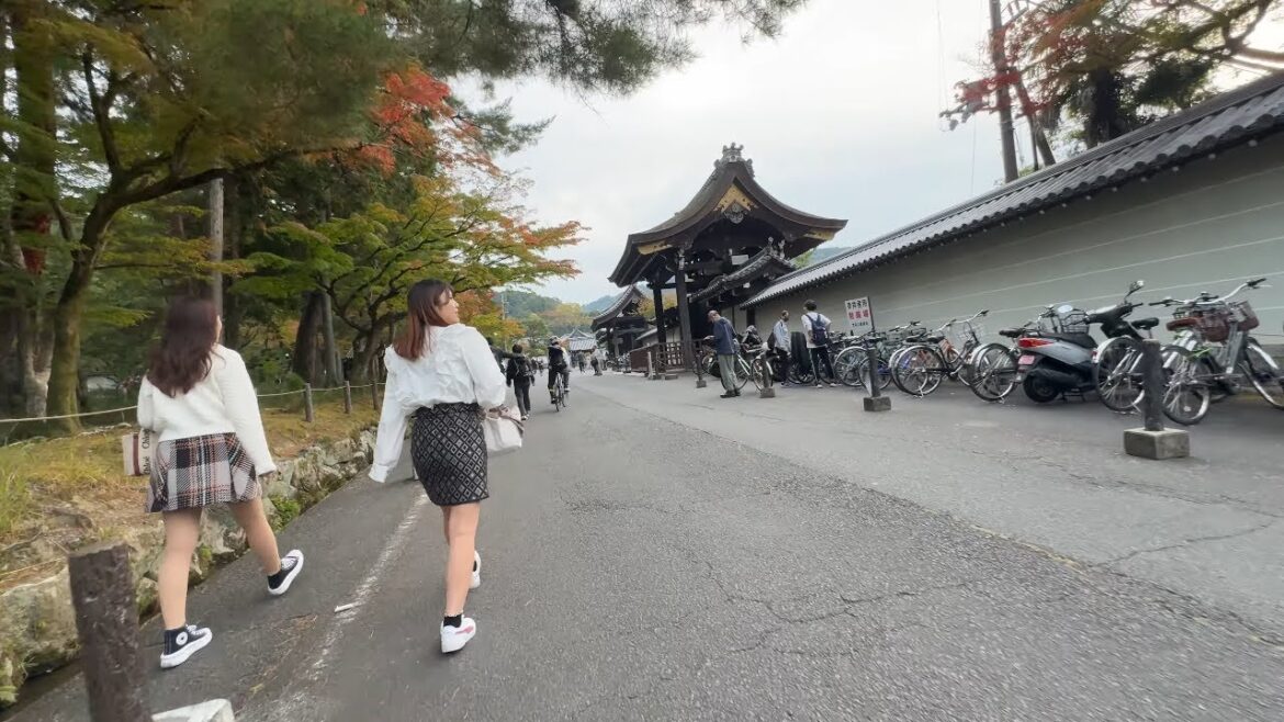 Kyoto 4K Bike Ride - Nanzenji Temple 南禅寺 to Heian Shrine 平安神宮 #kyoto #japan #travel #nanzenji