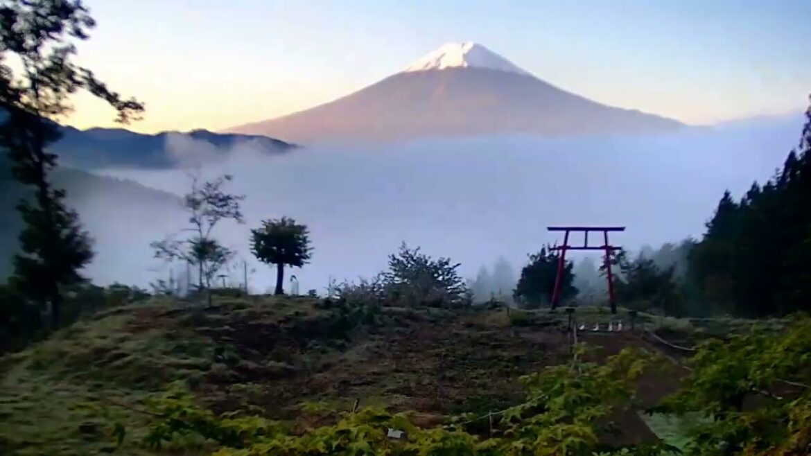 cam38河口湖天空の鳥居富士山ライブカメラのタイムラプス2023 10
